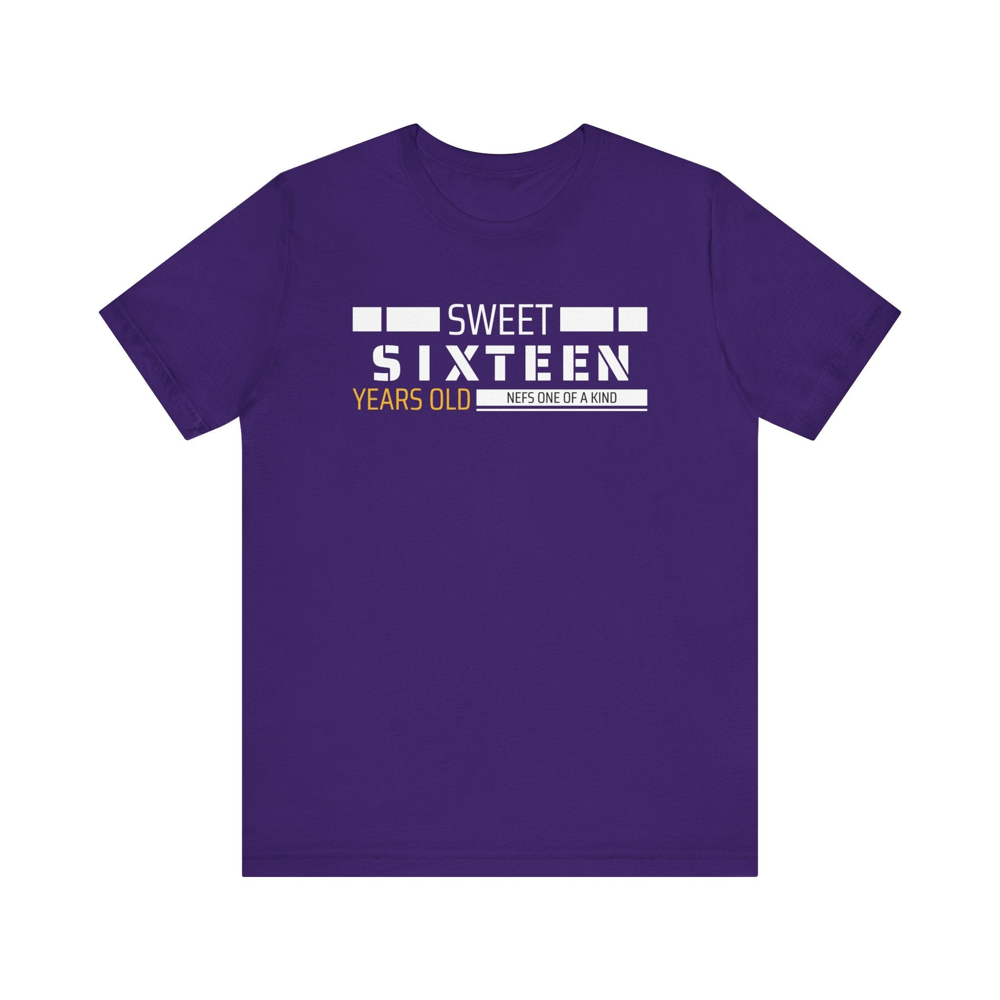 Sixteen year old Unisex Adult Tee